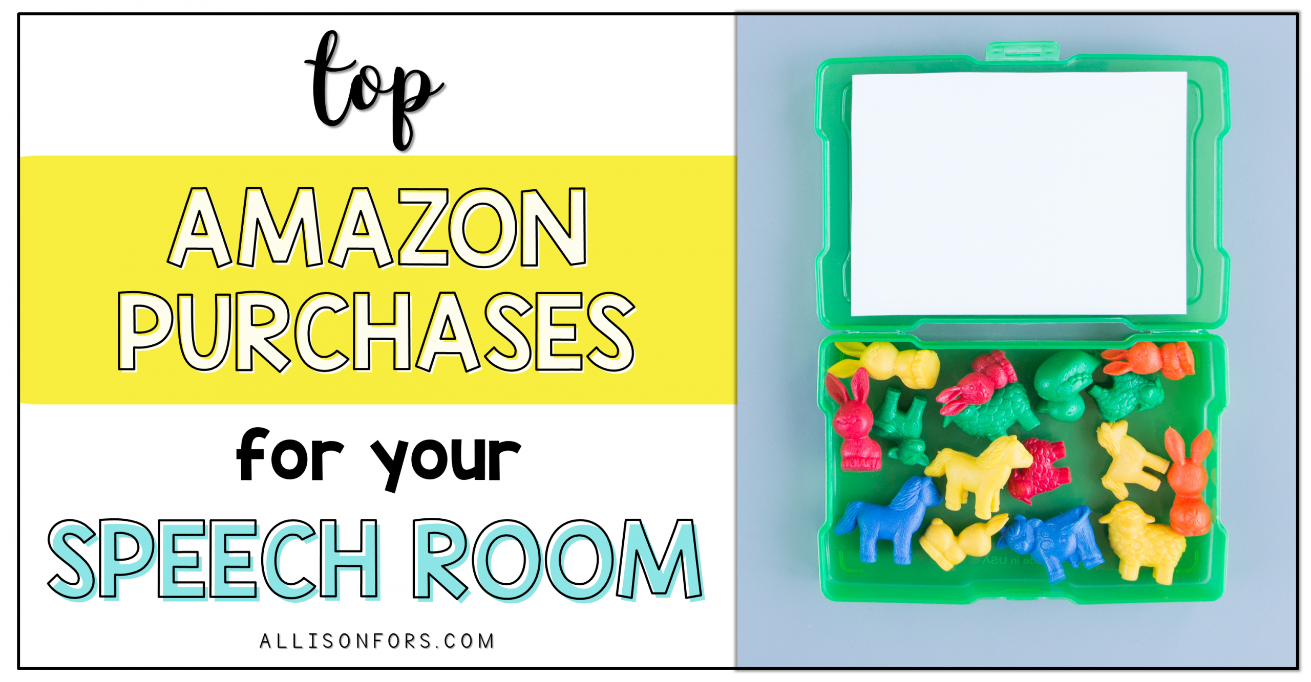 Top Amazon Purchases for Your Speech Room