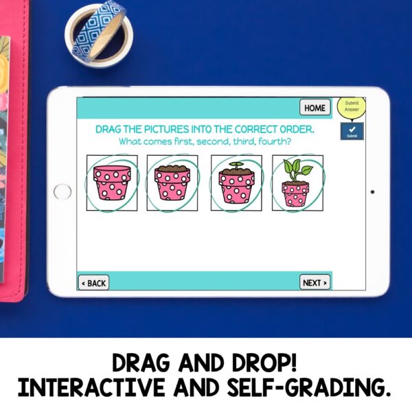 3-4 Step Sequencing Stories with Pictures - BOOM Cards™️ Speech Therapy - Image 3