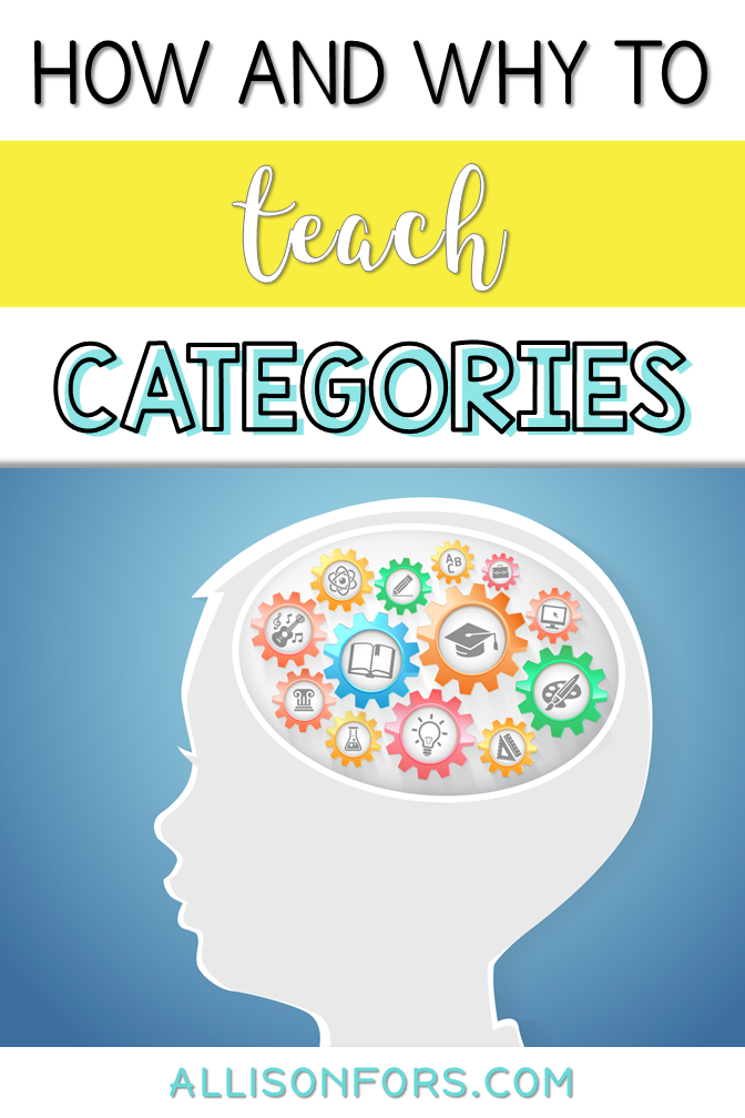 Categories in Speech Therapy