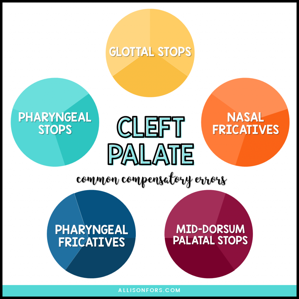 cleft palate errors