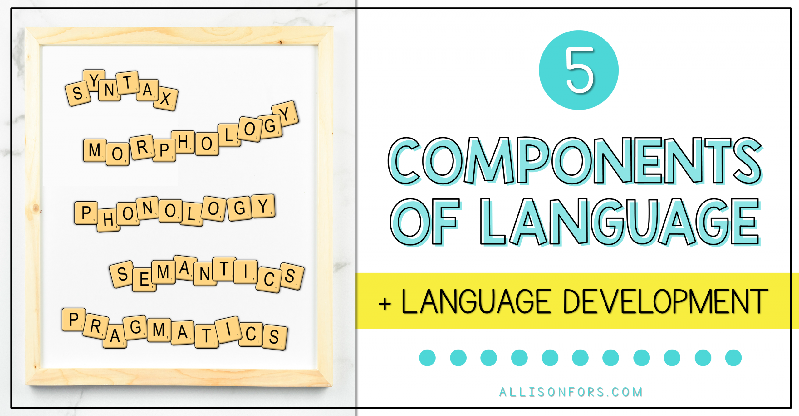 The 5 Components and Development of Language