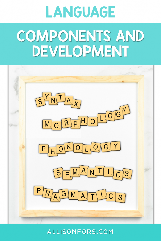 The 5 Components and Development of Language