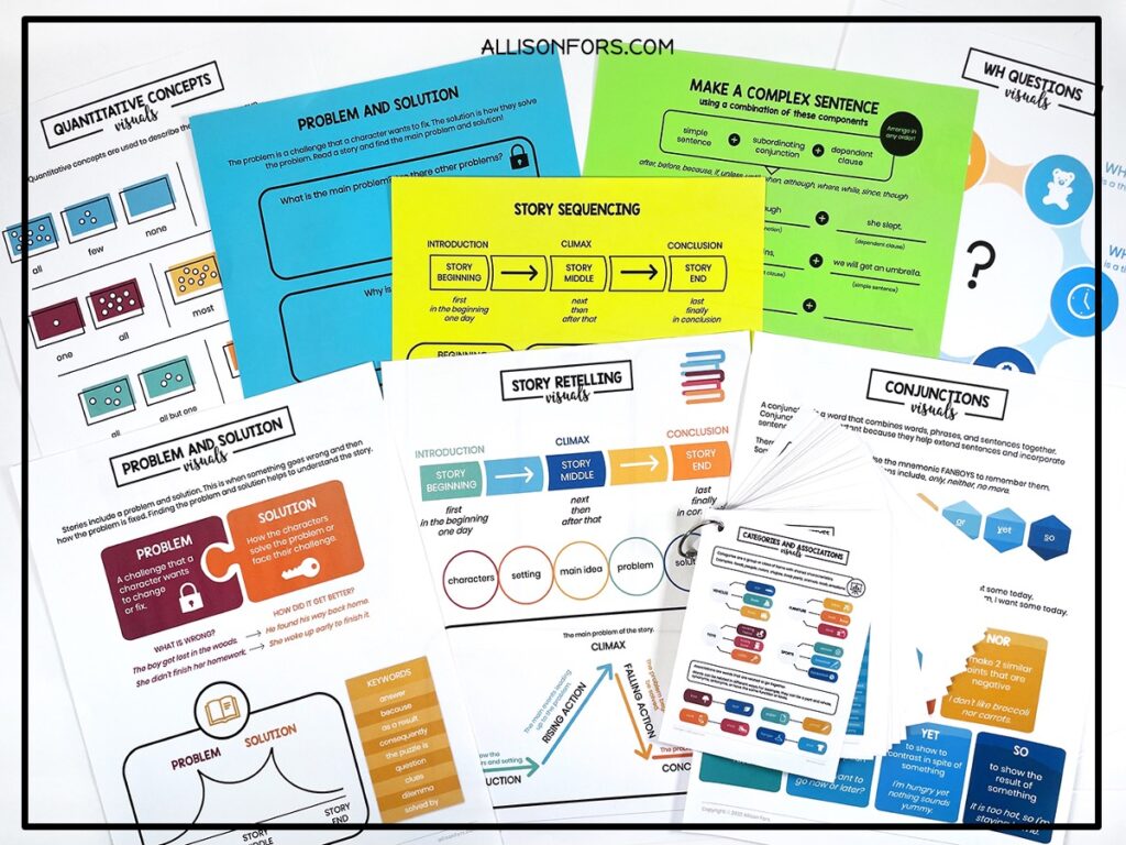 visual support and graphic organizers