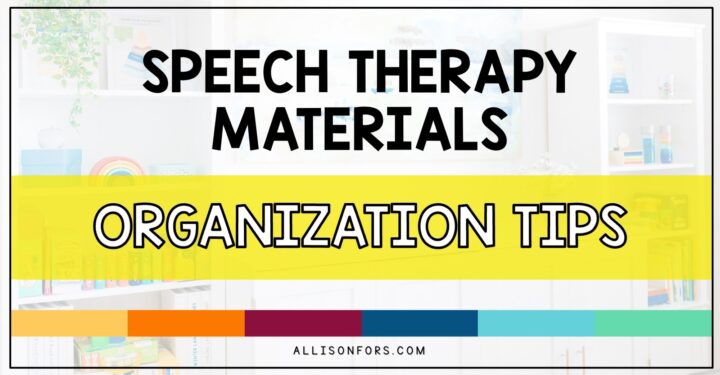 speech therapy organization tips